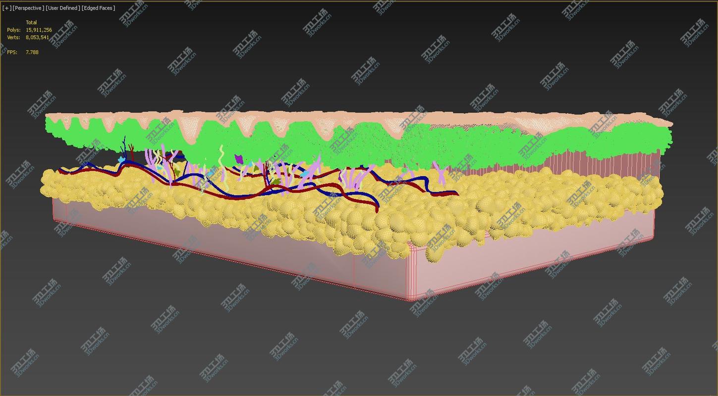 images/goods_img/202104023/Skin Cross Section 3D model/2.jpg